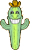 cooter the counting cactus